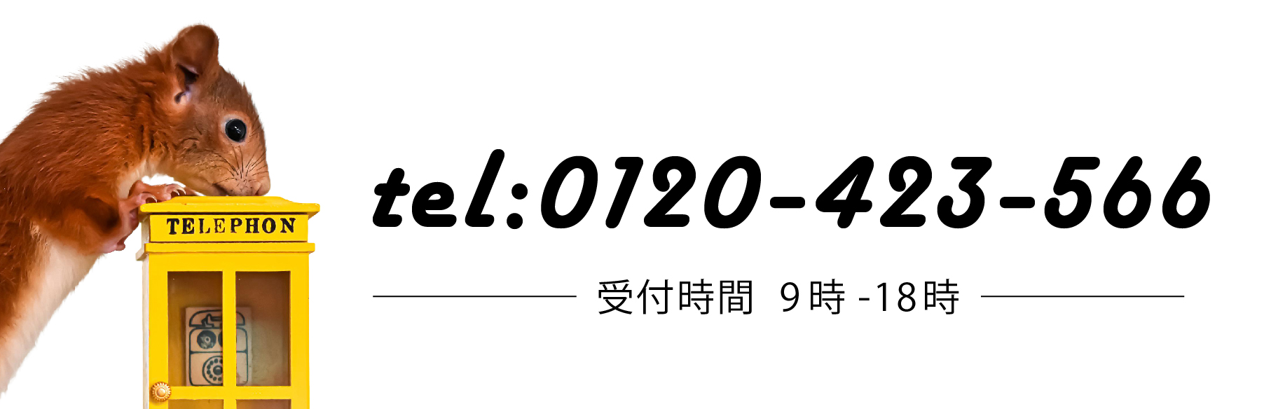 電話番号バナー